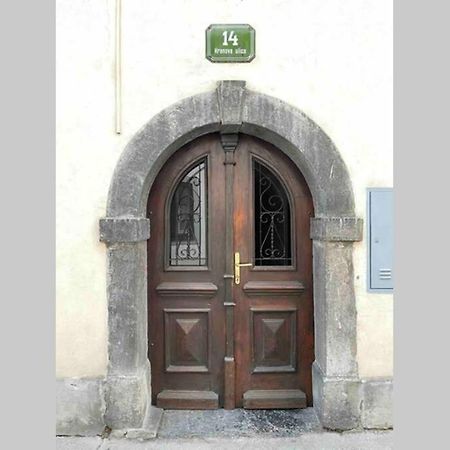Old Town 14 Apartment Ljubljana Ngoại thất bức ảnh